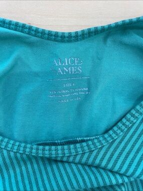 Alice + Ames Teal Striped dress